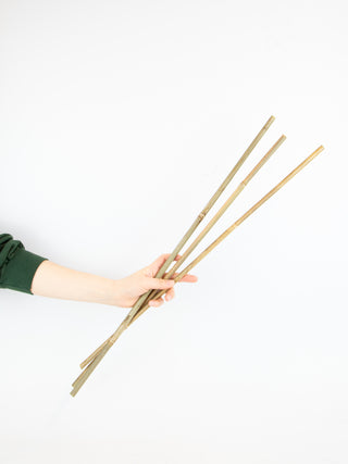 Bamboo Stick