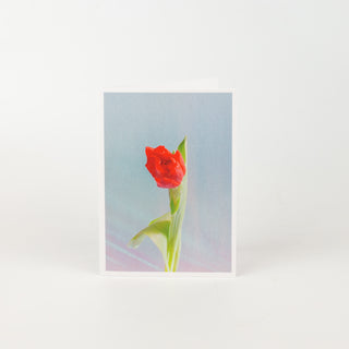 Arium Flower Portraits Greeting Card