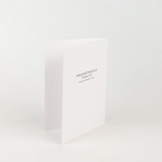 Arium Flower Portraits Greeting Card
