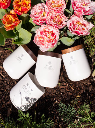 Penrose Candles