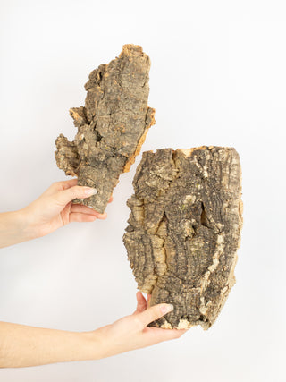 Cork Bark