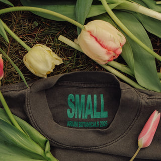 International Tulip Fan Club '26 T-Shirt