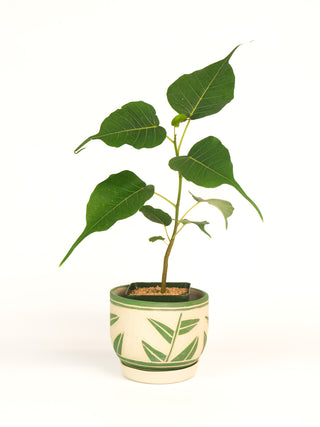 Nikoware Leaf Planter