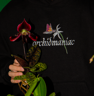Orchidmaniac Embroidered Hoodie