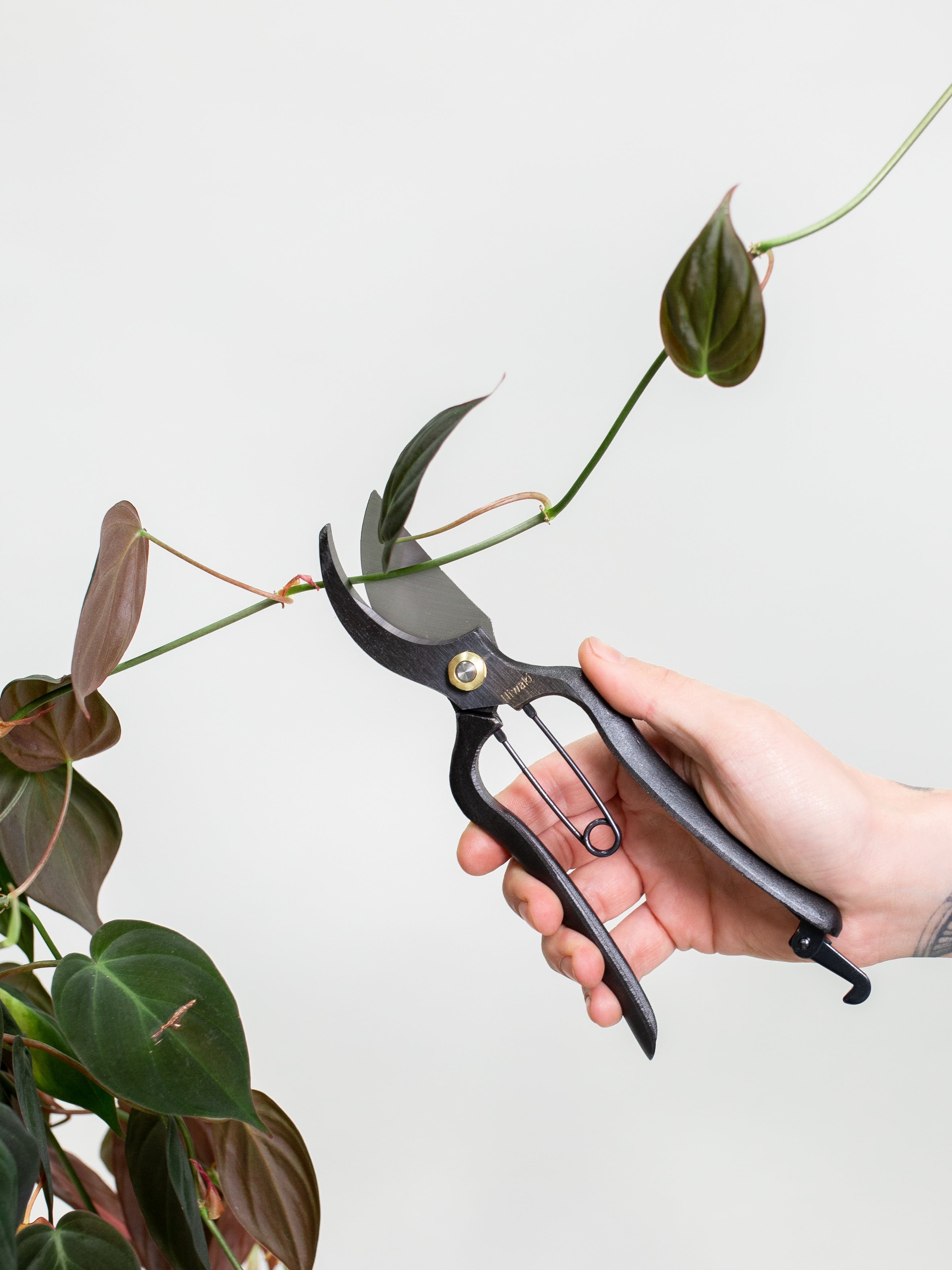 Niwaki Sentei Secateurs - Thumbnail 4
